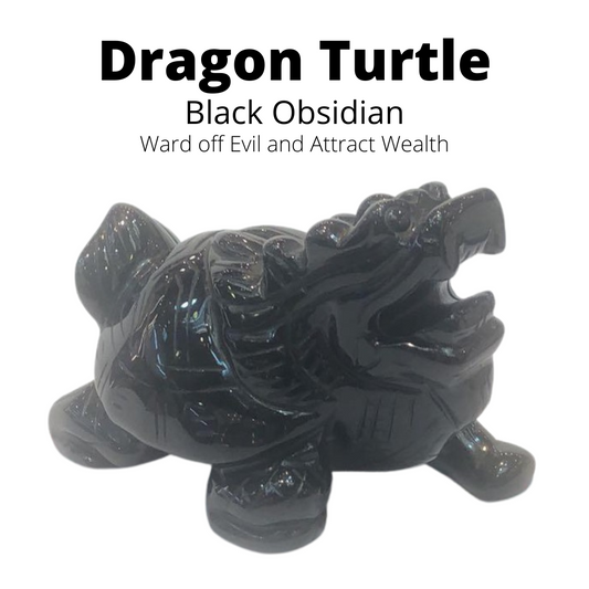 Black Obsidian Dragon Turtle