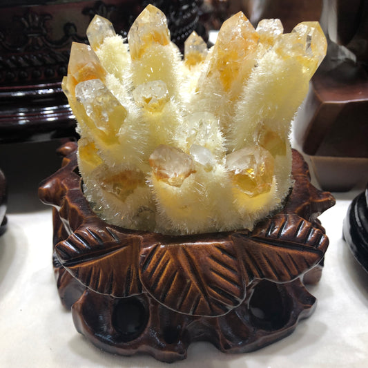 Natural Brazil Citrine Cluster with Wooden Base