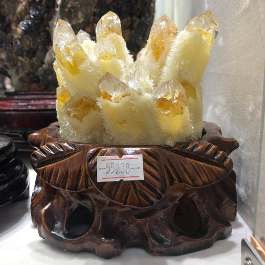 Natural Brazil Citrine Cluster with Wooden Base